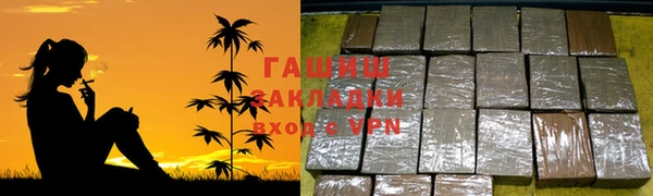сатива Белокуриха