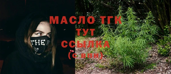 спиды Бородино